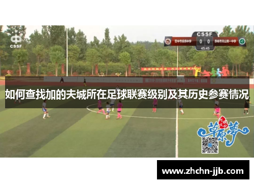 如何查找加的夫城所在足球联赛级别及其历史参赛情况
