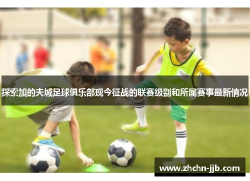 探索加的夫城足球俱乐部现今征战的联赛级别和所属赛事最新情况